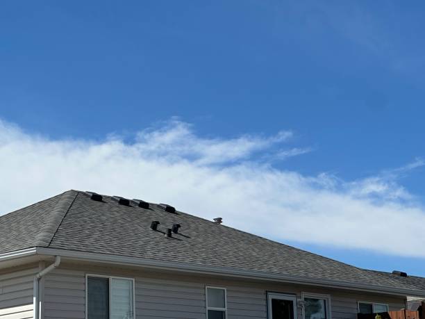 Best Roof Ventilation Installation  in Douglasville, GA